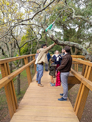 treetop walk de serralves