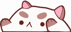 bongo puppycat