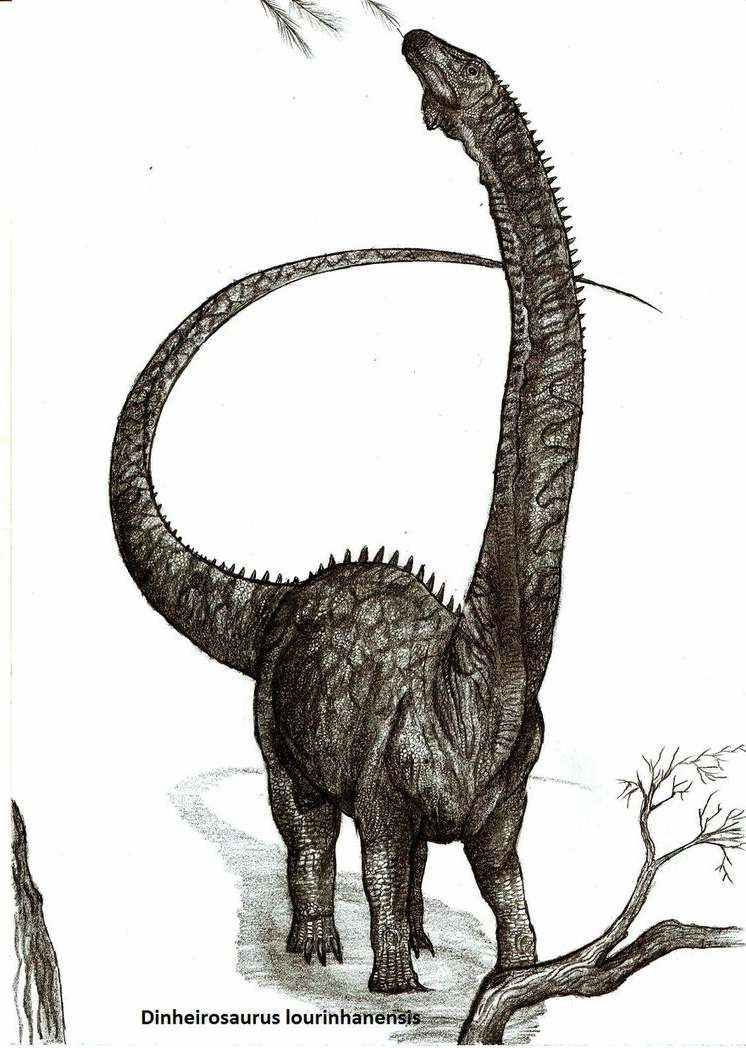 Dinheirosaurus lourinhanensis