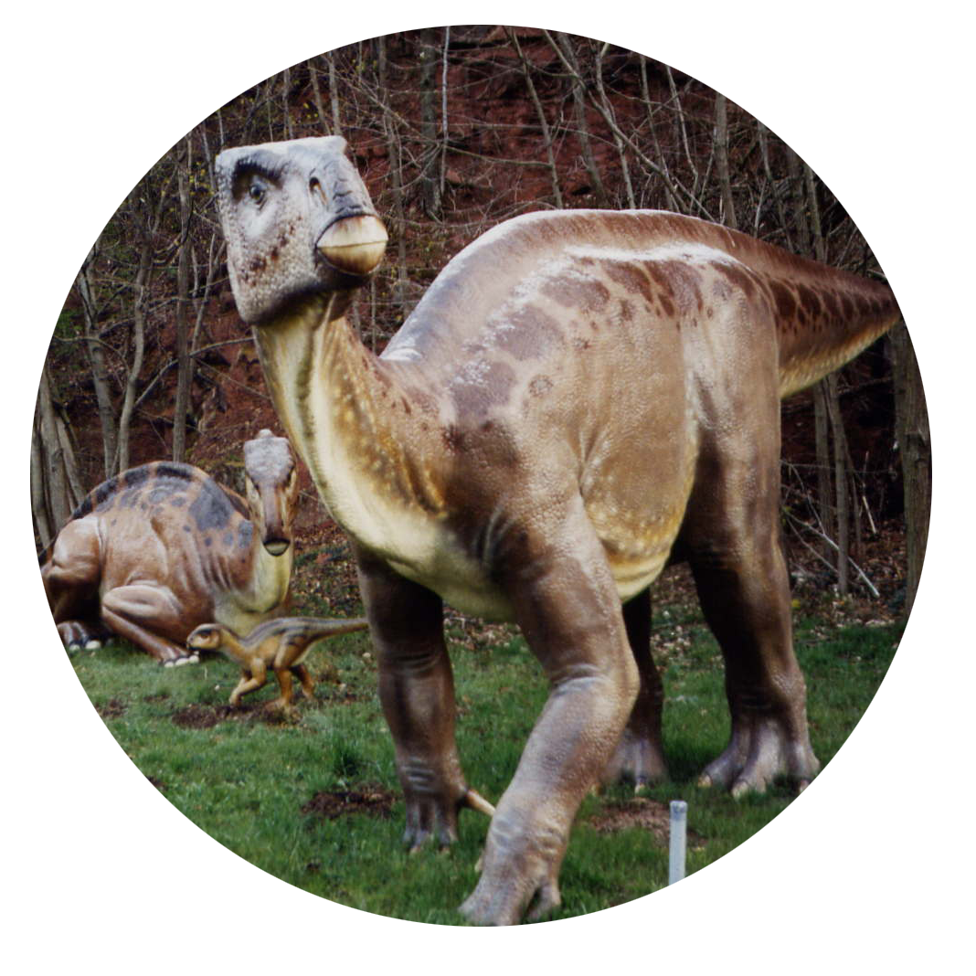 IGUANODON