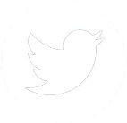 logo_twitter