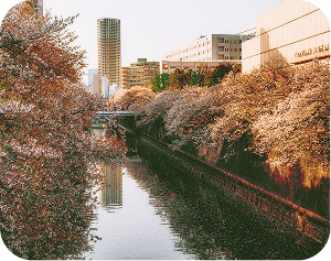 Tokyo