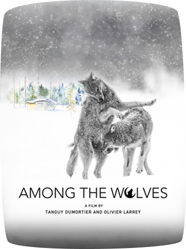 Poster do filme indicado ao Cineeco: Among the Wolves