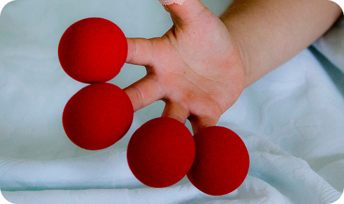 imagemdenarizvermelho