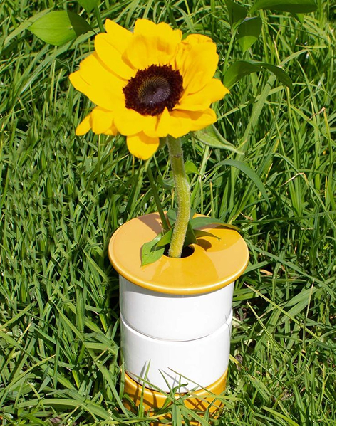 Sunflower pot