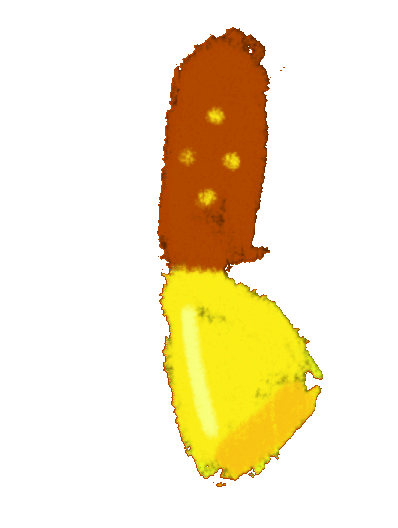 chocalho