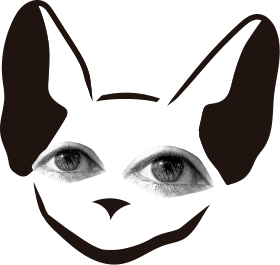 gato