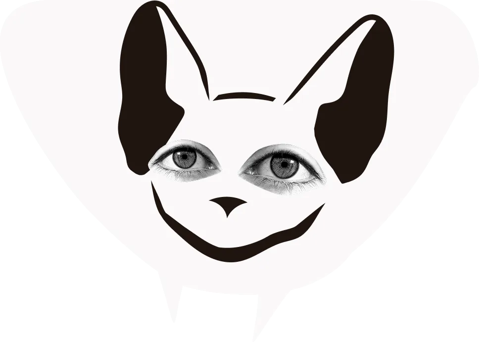 gato