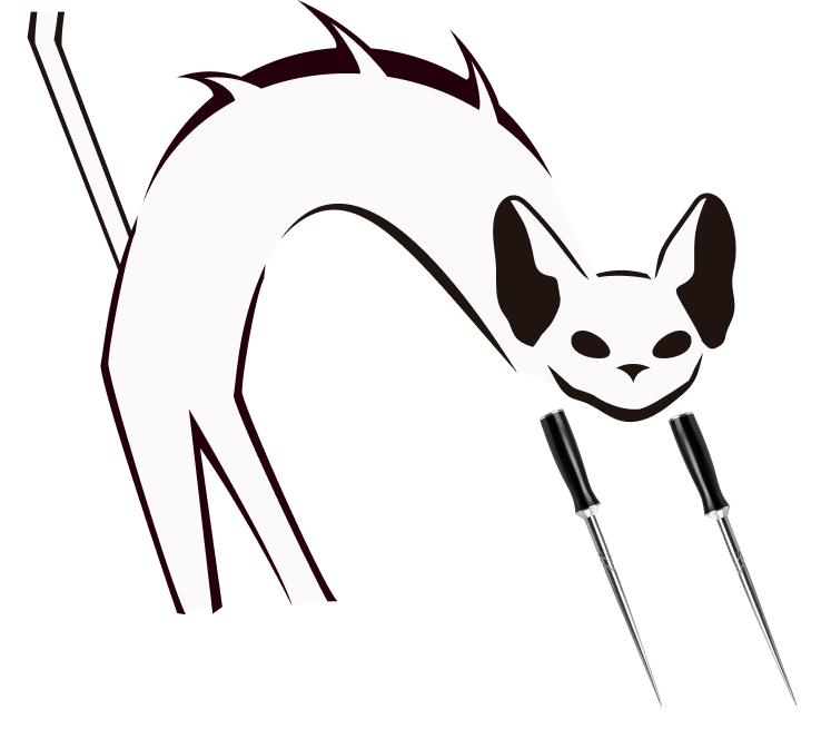 gato arrepiado