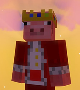 image intro