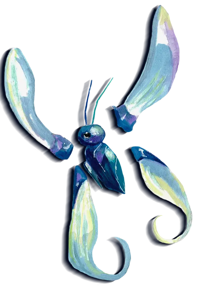 dragonfly drawing
