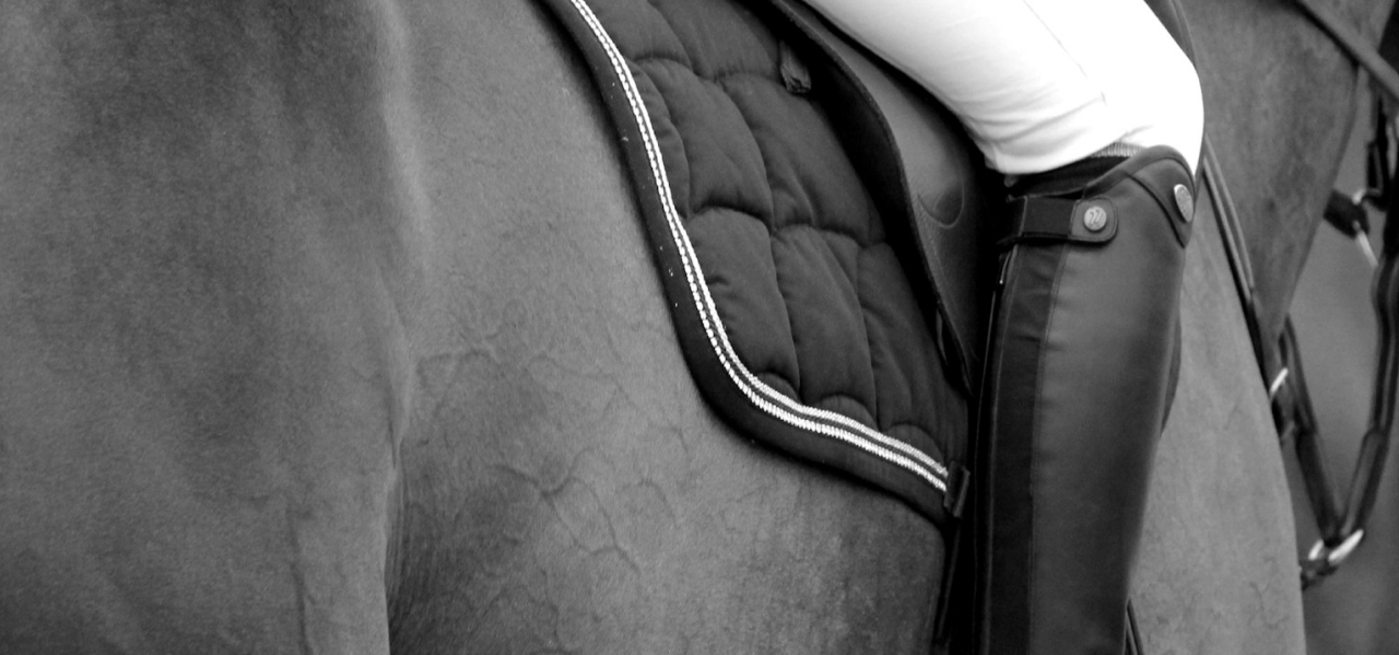 cavalo montado