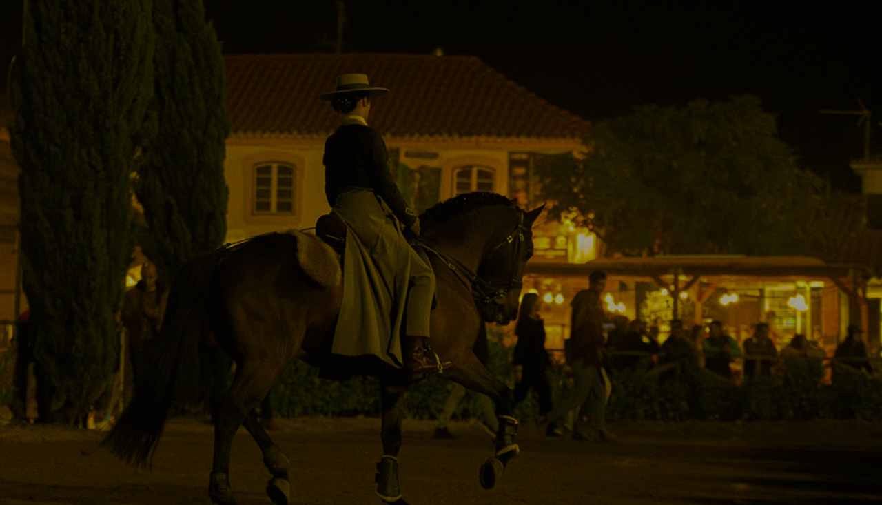 mulher_noite_cavalo
