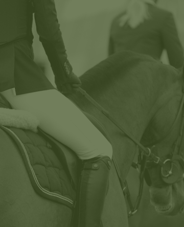 cavalo verde