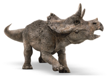 triceratops