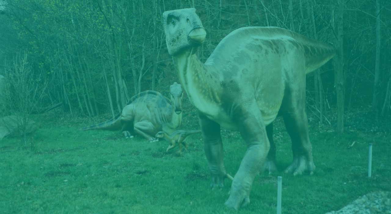 Iguanodon SP