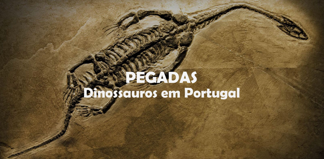 fossil de dinossauro