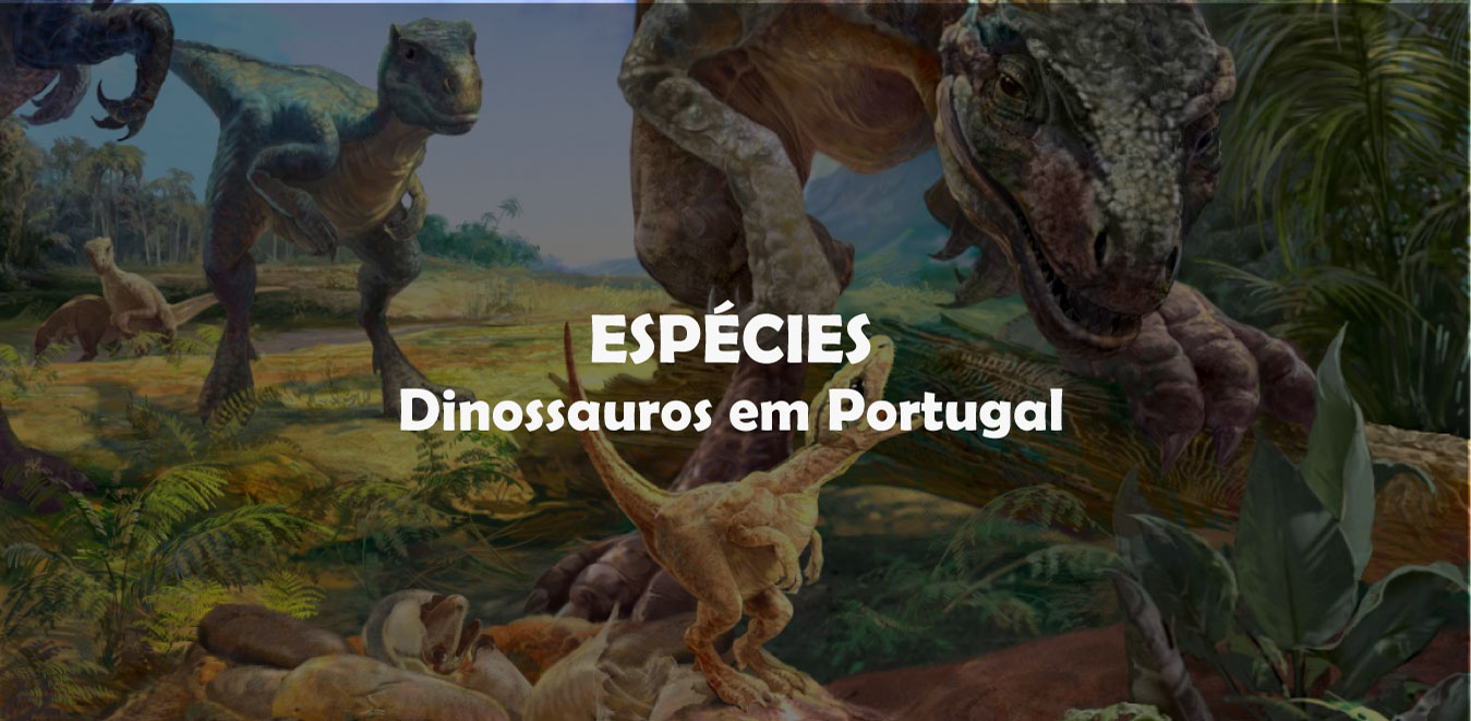 várias especies de dinossauros