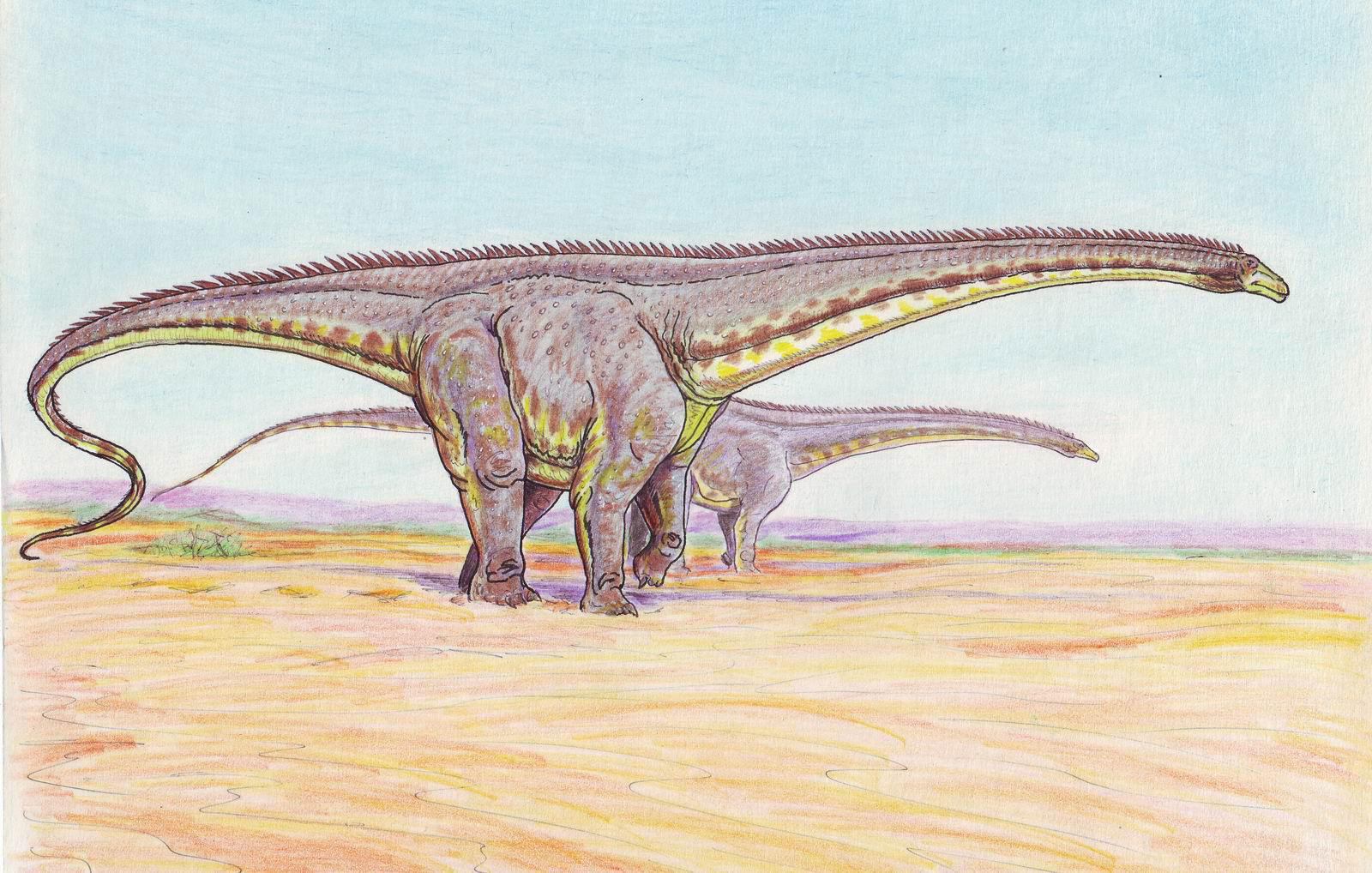 Dinheirosaurus lourinhanensis