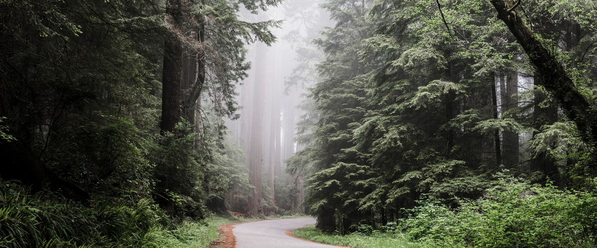 Estrada Fantasma