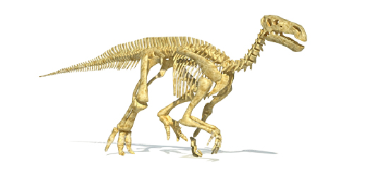 fossil Iguanodon