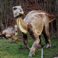 Iguanodon