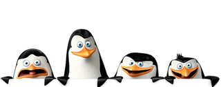 pinguins footer