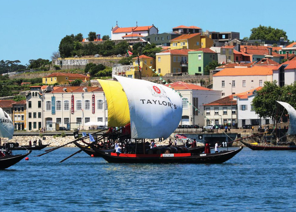 regatas no rio douro