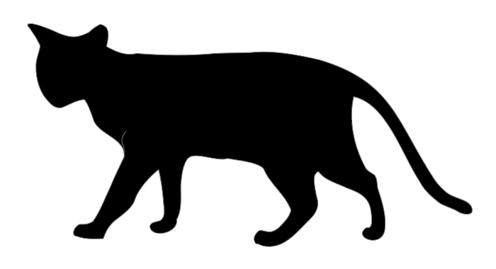 logo black cat