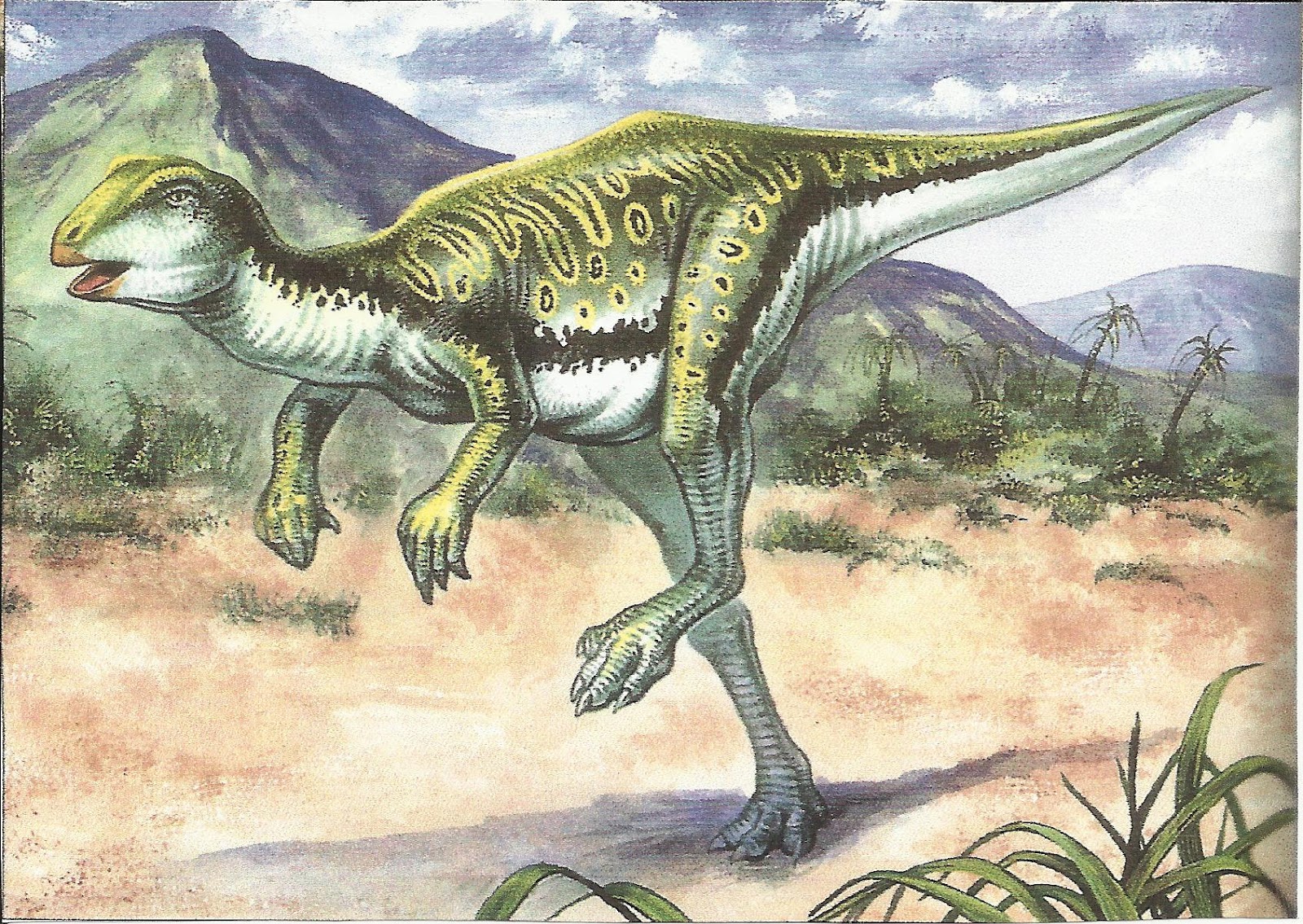 Hypsilophodon